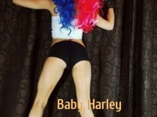 Baby_Harley