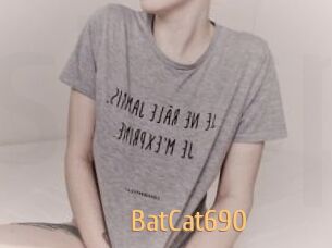 BatCat690