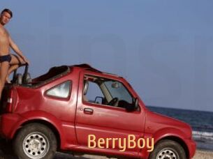 BerryBoy