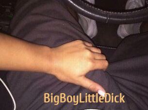 BigBoyLittleDick