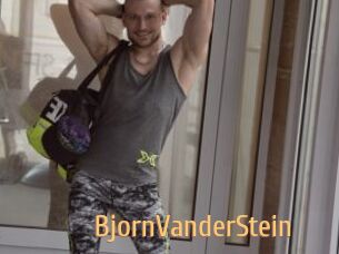 BjornVanderStein