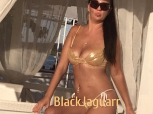 BlackJaguarr Single Spass