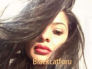 Blackcatforu