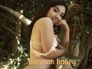 Blossom_honey