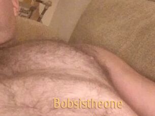 Bobsistheone