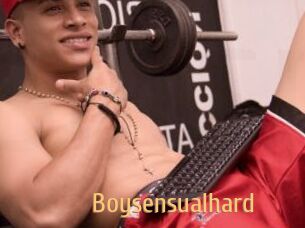 Boysensualhard