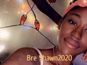 Bre_Shawn2020