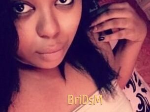 BriDsM