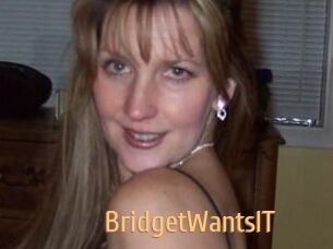 BridgetWantsIT