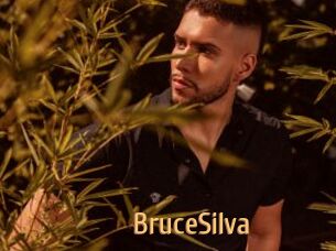 BruceSilva