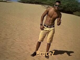 BruceZ