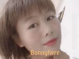Bunnyhere