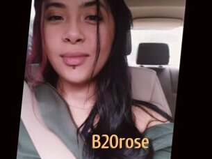 B20rose