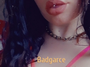 Badgarce