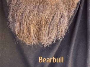 bearbull Single Spass