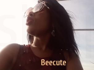 Beecute
