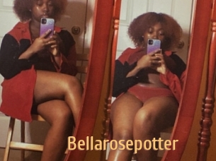 Bellarosepotter