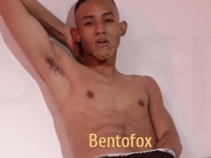 bentofox Single Spass