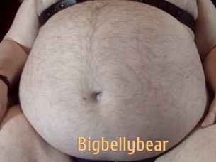 Bigbellybear