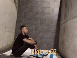 Bigboss22