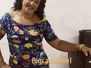 Bigcameltoe1