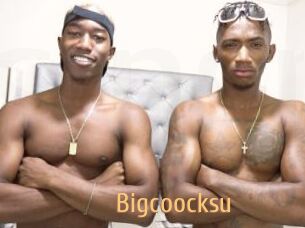 Bigcoocksu