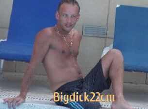 Bigdick22cm