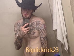 bigdickrick23 Single Spass