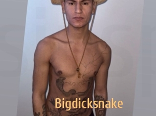 bigdicksnake Single Spass