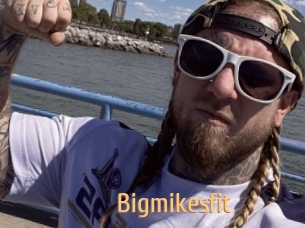bigmikesfit Single Spass