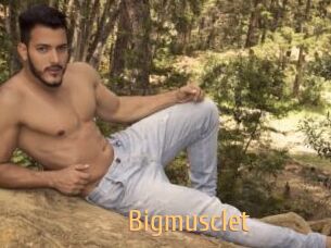 Bigmusclet