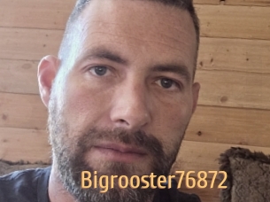 Bigrooster76872