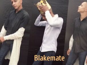 Blakemate