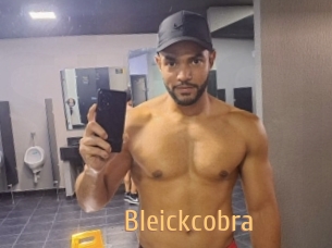 Bleickcobra