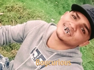 boycurious Single Spass