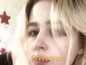 Breeboggus