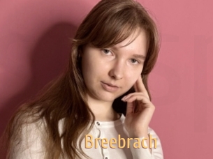 Breebrach