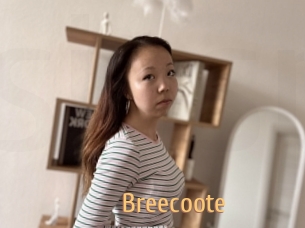Breecoote