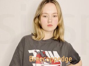 Breecoppedge