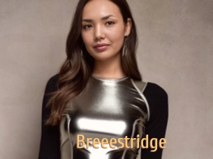 Breeestridge