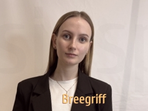 Breegriff