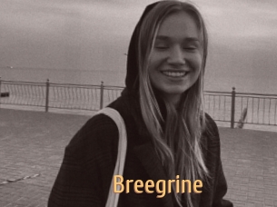 Breegrine