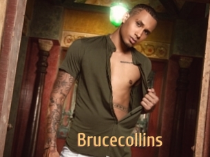 brucecollins Single Spass