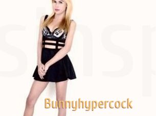 Bunnyhypercock