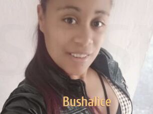 Bushalice