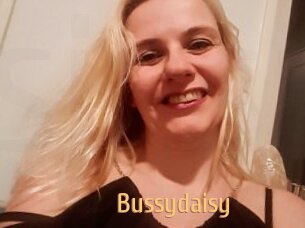 Bussydaisy