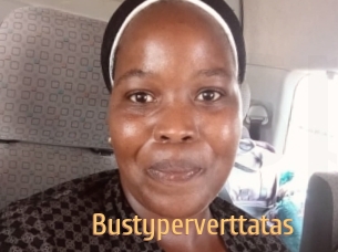 bustyperverttatas Single Spass