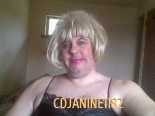 CDJANINE1182