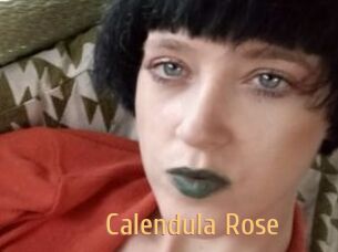 Calendula_Rose