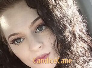 Candice_Cane